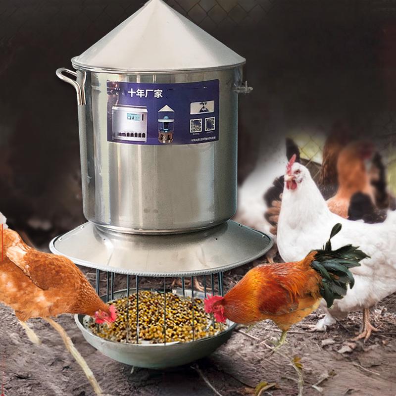 Automatic chicken feeder with timer programmable smart feeding system — CoopPilot