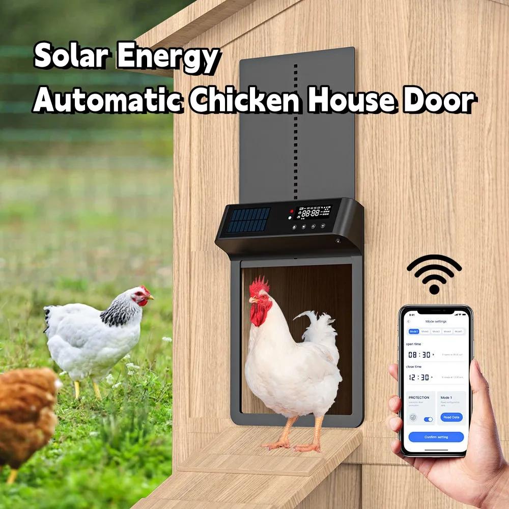 Solar powered chicken coop door opener vs electric comparison cost guide 2025